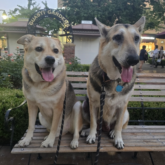 Meet your Posher, Pat - Picture 14 of 17